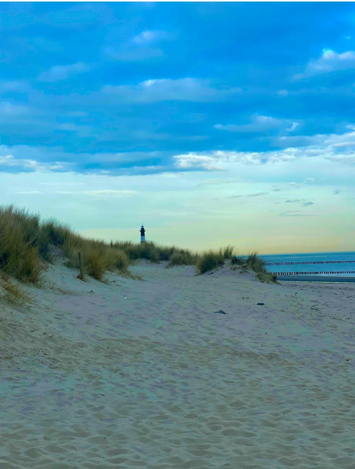 Premium-strand An Der Nordsee - Noordzee - Zeeland *